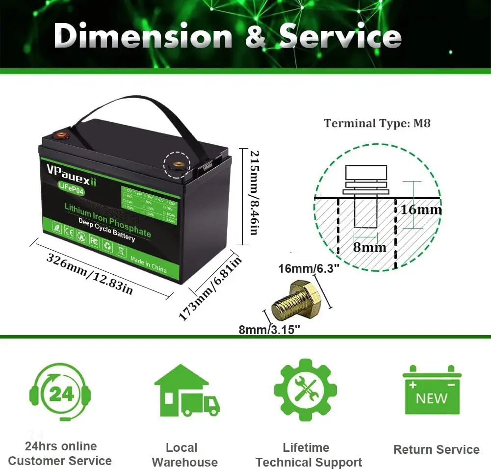 VPauexii 12V 100Ah Mini Bluetooth LiFePO4 Battery,Lithium Battery for RV,  Solar 