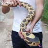 Halloween RC Snake Remote Control Animal Insect Toy Kit for Child Kids Adults Cockroach Spider Ant Prank Jokes for Boys Pet Cat 1