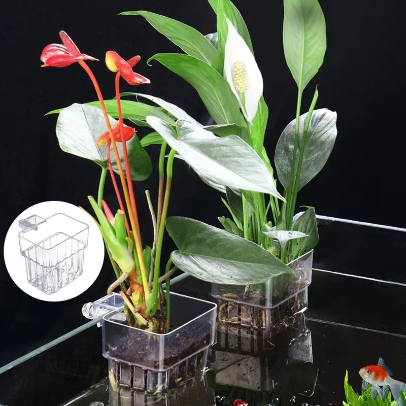 Multifunctional Fish Aquarium Water Grass Planting Cup Breeding Isolation Box Fish Tank Hydroponic Plants Fish Tank Landscaping
