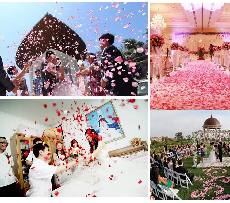 1000pcs Fake Rose Petals Flower Girl Toss Silk Petal Artificial Petals For Wedding Confetti Party Event Decoration H1 images - 6