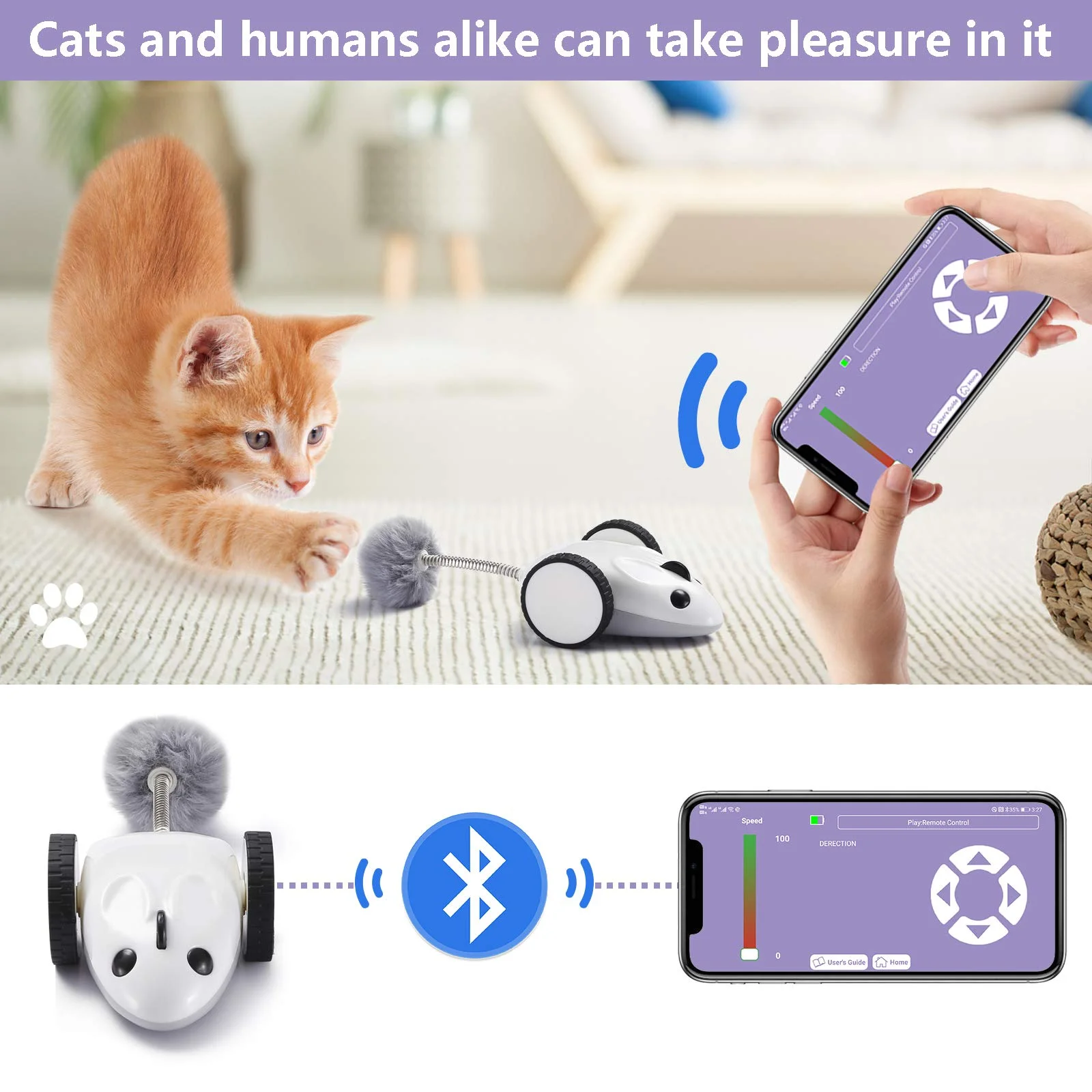 Souris interactive USB pour chat