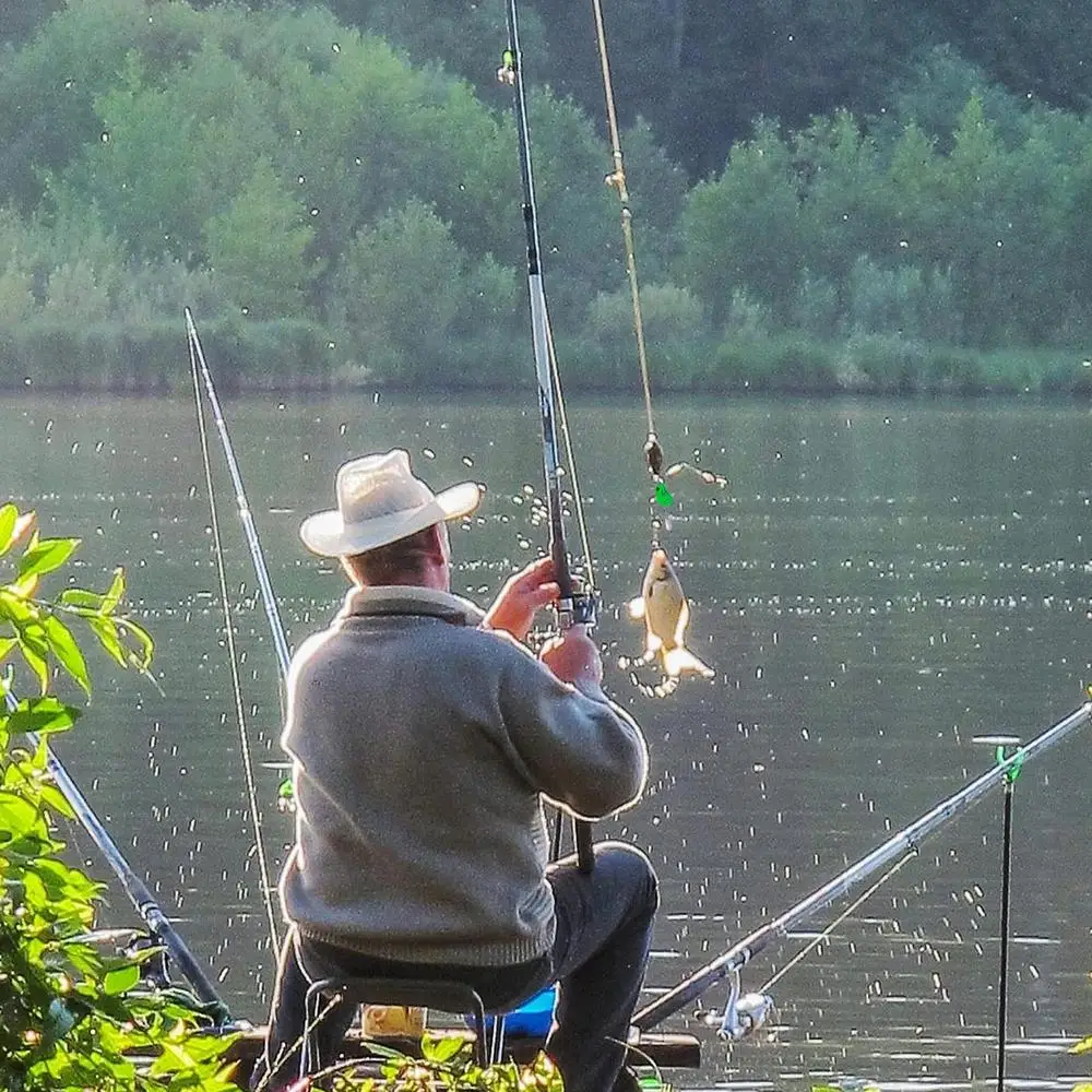 Fishing Lures Frog Image 2