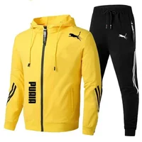 Ensemble de survêtement pour homme printemps-automne, sweat à capuche à manches longues et pantalon de jogging, 2 pièces, vêtements de sport décontractés pour la course à pied 5