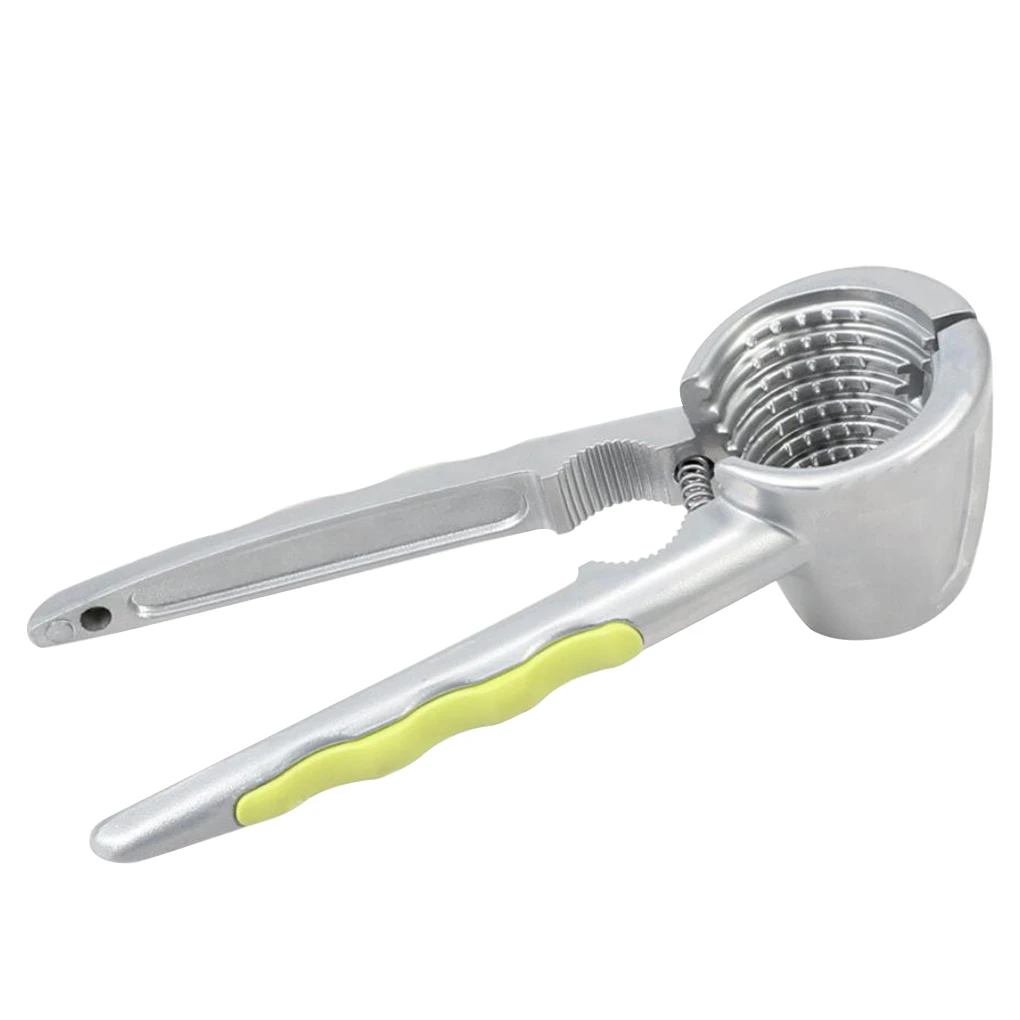 Hazelnut Hazel Filbert Nut Walnut Almond Nut Cracker Walnut Pecan