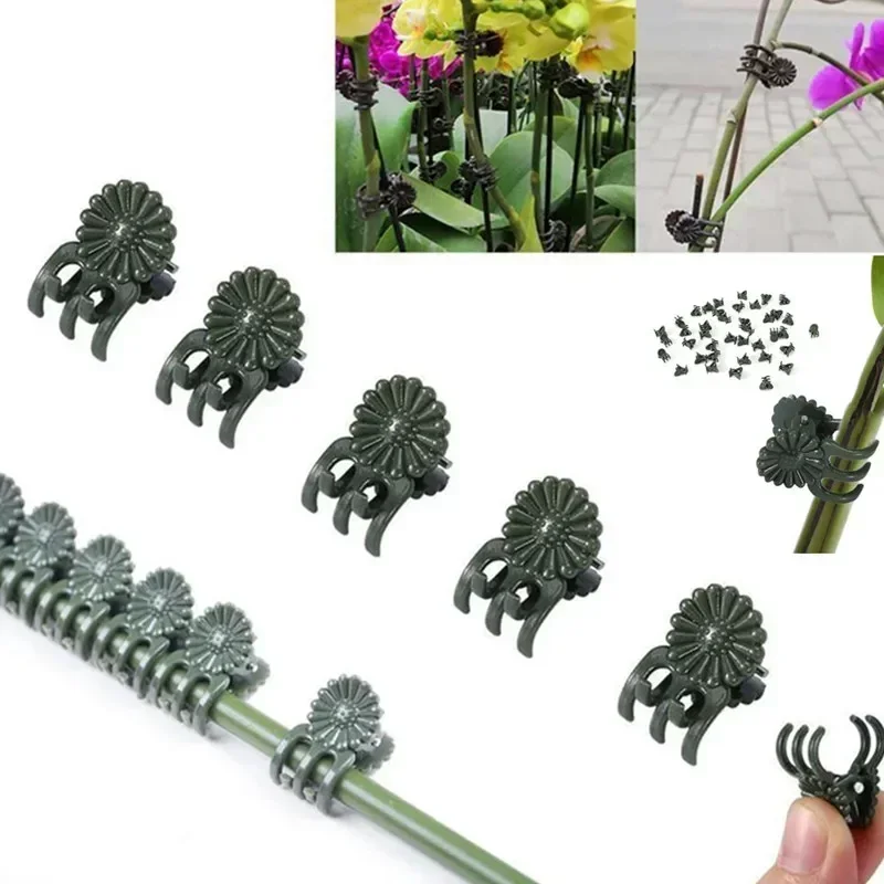 

10/50Pcs Plastic Orchid Stem Clip, Plant Support Clips, Flower Grow, Upright Branch Clamping, Garden