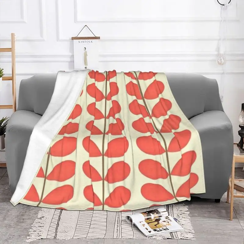 Kiely-���� ���� �߻� ��⼺ �ö��� ���� ���� �������� �߹� ���� ���� ���� ���, ���� �ڵ��� ħ��