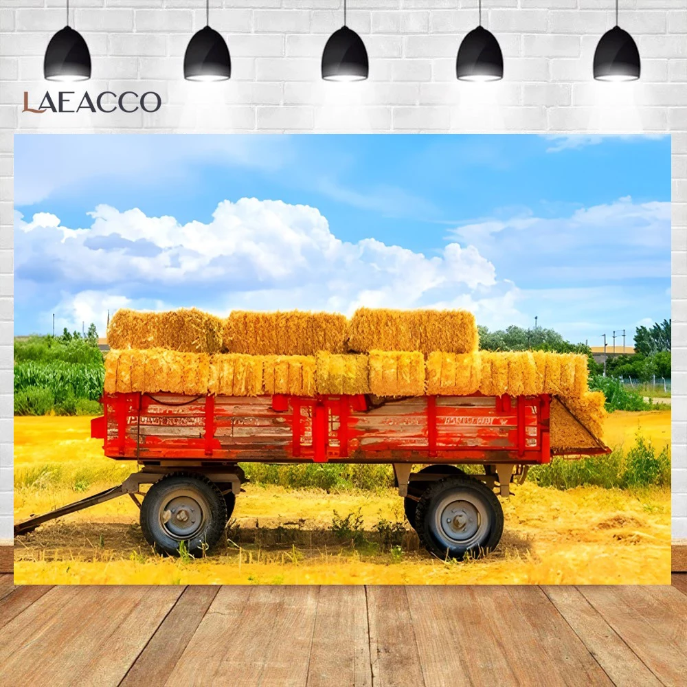 Laeacco  Ʈ     ʻȭ  ,     Ʃ