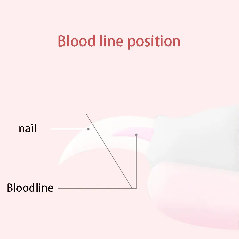 Stainless Steel Pet Nail Clippers 5