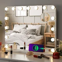 Makeup Hollywood Vanity Mirror with Lights 15 Dimmable LED Bulbs 3 Color Lighting Mirror Adjustable Brightness USB Charging Port 1