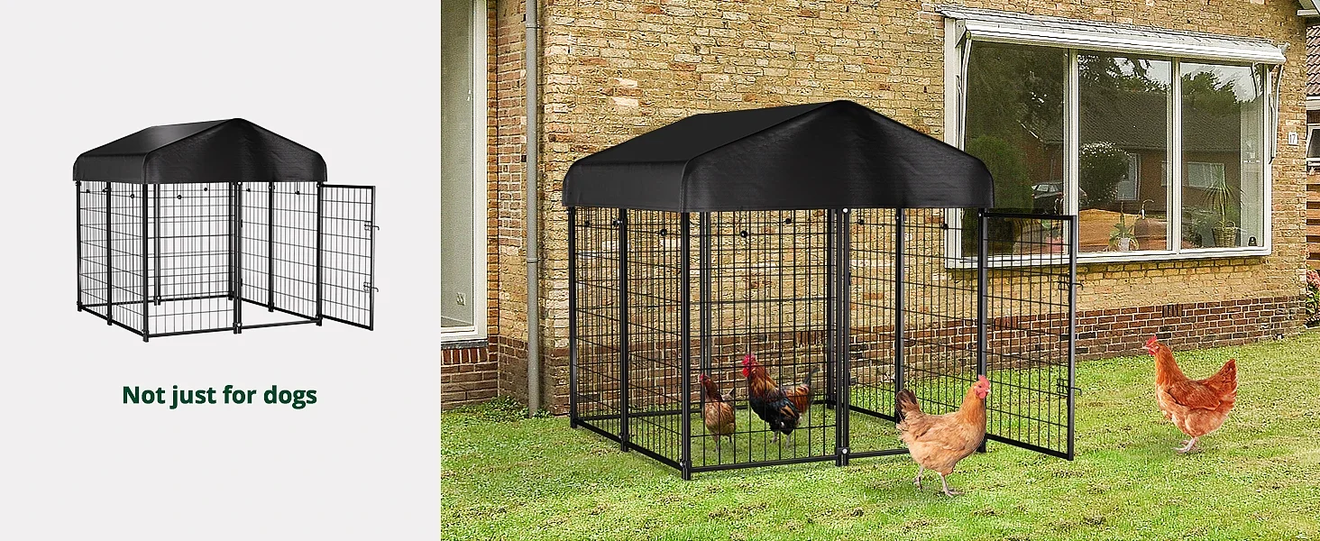 chicken coop outside