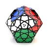 AJ Bauhinia Dodecahedron II Strange-Shape Magic Cube Twisty Puzzle Black Orange Ice Purple Body Limited Version Children Toy 3