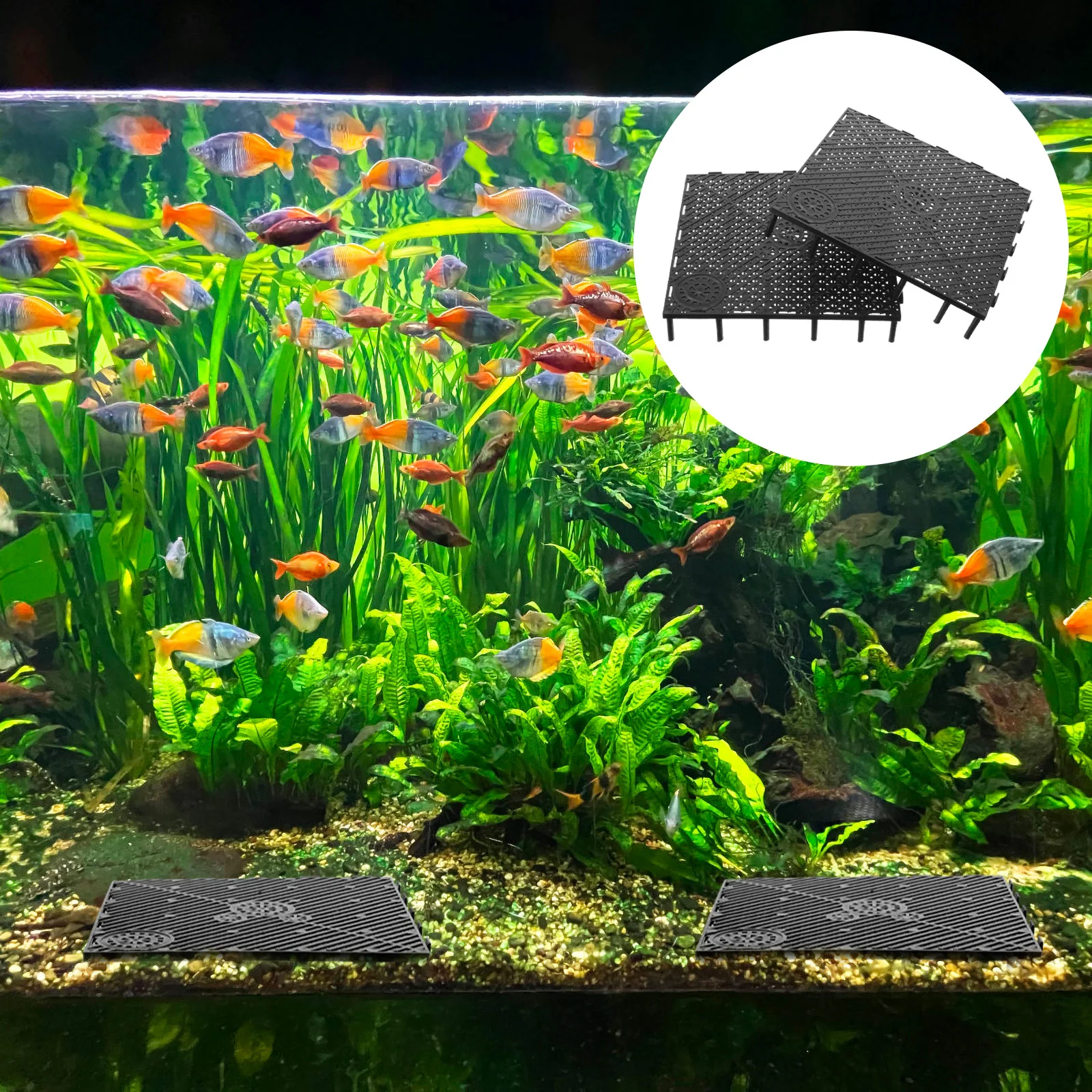 

Aquarium Bottom Grid: Plate Tank Bottom Filter Aquarium Undergravel Filter Board Divider Tank Bottom- Black