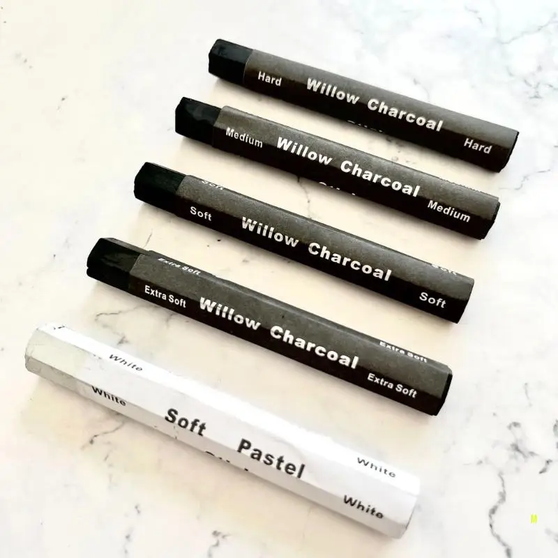 Charcoal Drawing Set Charcoal Sticks Artist Charcoal Pencils Water Soluble Charcoal Strips for Drawing Sketching Shading F19E 2