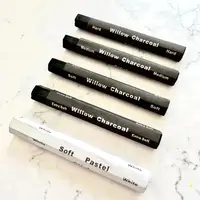 Charcoal Drawing Set Charcoal Sticks Artist Charcoal Pencils Water Soluble Charcoal Strips for Drawing Sketching Shading F19E 2