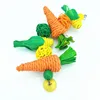 Pet Parrot Chewing Teething Toys Hamster Rabbit Hand-woven Straw Rope Carrot Corn Rattan Ball Toys Bird Cage Hanging Accessories 4