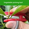 Knife Separator Vegetable Fruit Harvesting Picking Tool for Farm Garden Orchard Vegetable Thump Knife 3
