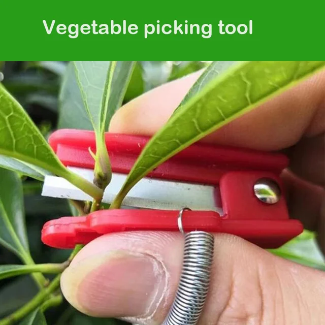 Knife Separator Vegetable Fruit Harvesting Picking Tool for Farm Garden Orchard Vegetable Thump Knife 3