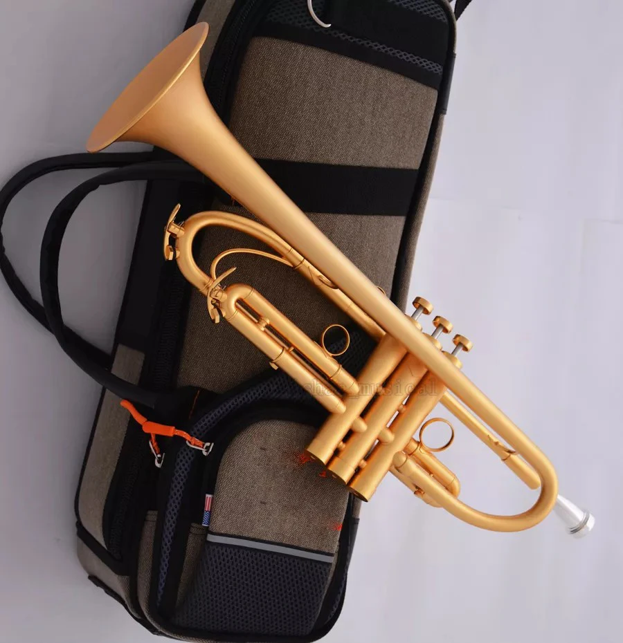 Professional Satin Gold Bb Trumpet Horn Monel Piston Pro. Case