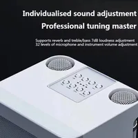 10W Powerful Wireless Portable Dual Microphone Bluetooth Sound Outdoor Family Party Karaoke Subwoofer Boom Box with 2 Microphone - Image 5