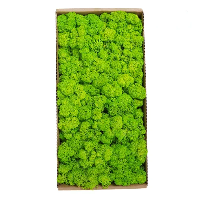 Muschio Artificiale Conservato 200g Per Decorazioni Fai Da Te, Parete, Fioriere, Presepi (verde), Durata 3-5 Anni, Leggero E Senza Manutenzione