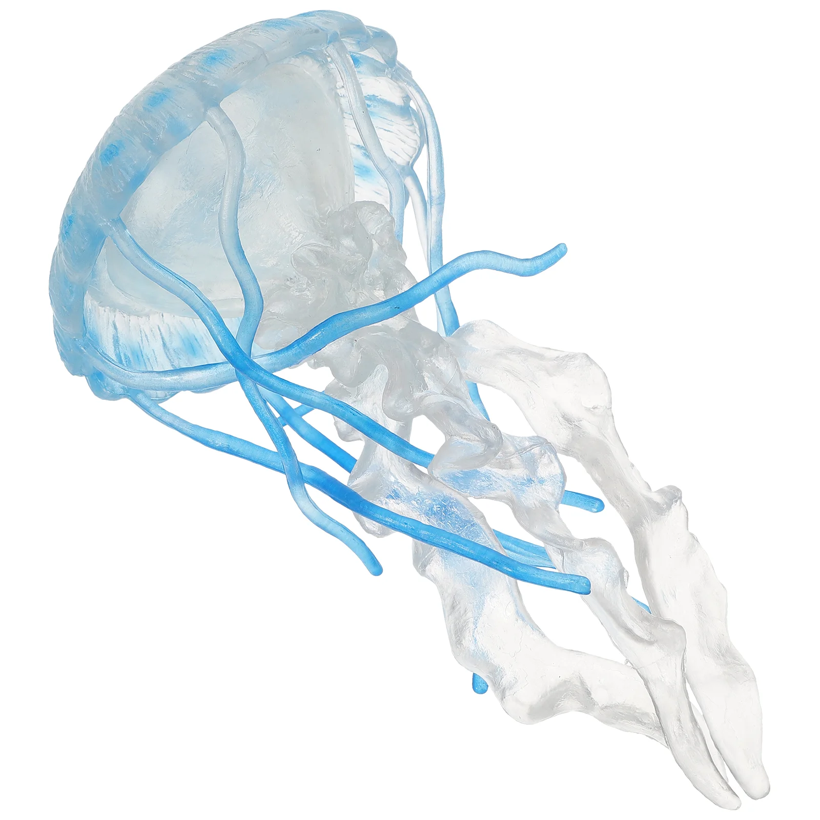 

Simulation Jellyfish Model Science Educational Props Statues Figurines Kid Toys Ocean Animals Kids Cognitive