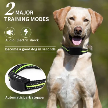 Rechargeable Anti-Bark Collar 1