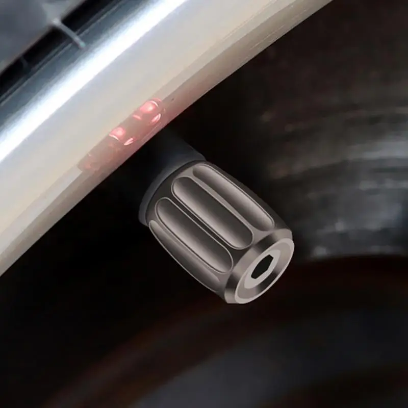 Рисунок 4 - Противоугонный протектор воздушного