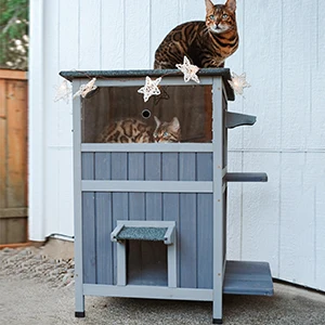 cat house