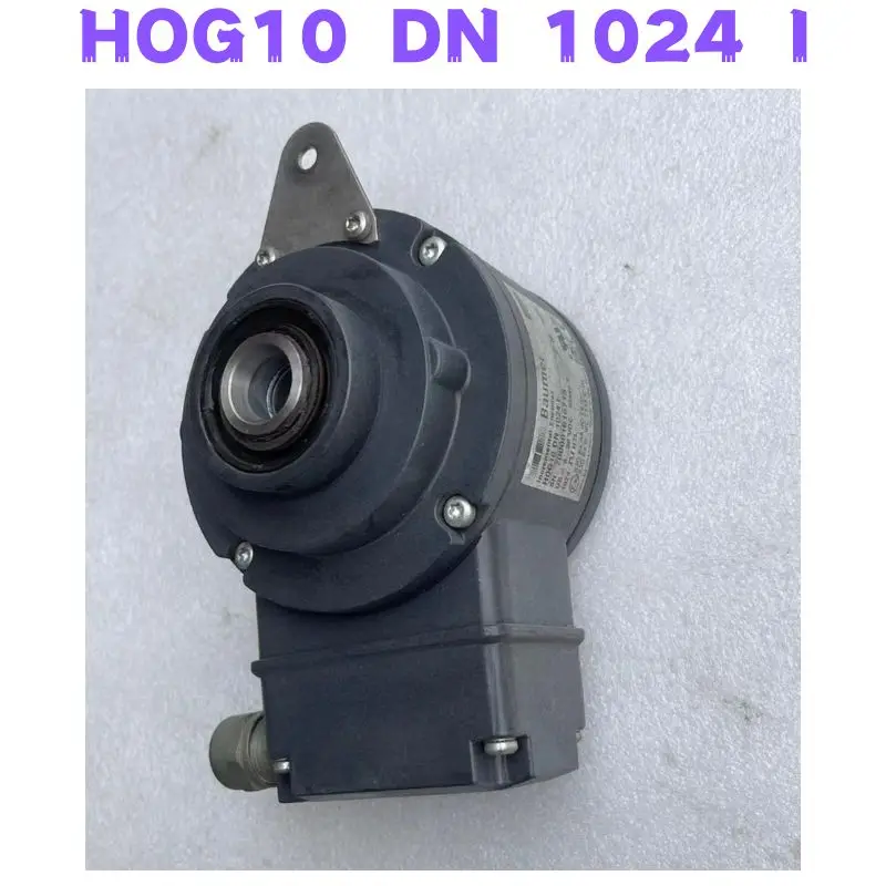 Hog 10. Hog 10