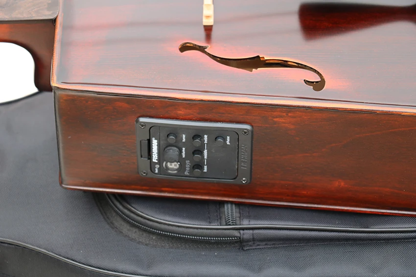 Electric Morin Khuur Matouqin Inner Mongolia stringed instruments acoustic and electric instrumento musical profissional