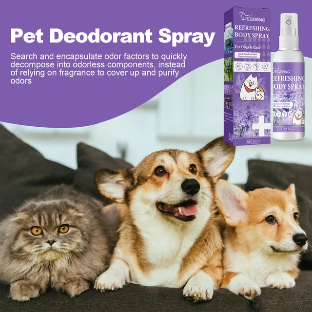 Is There Deodorant For Dogs