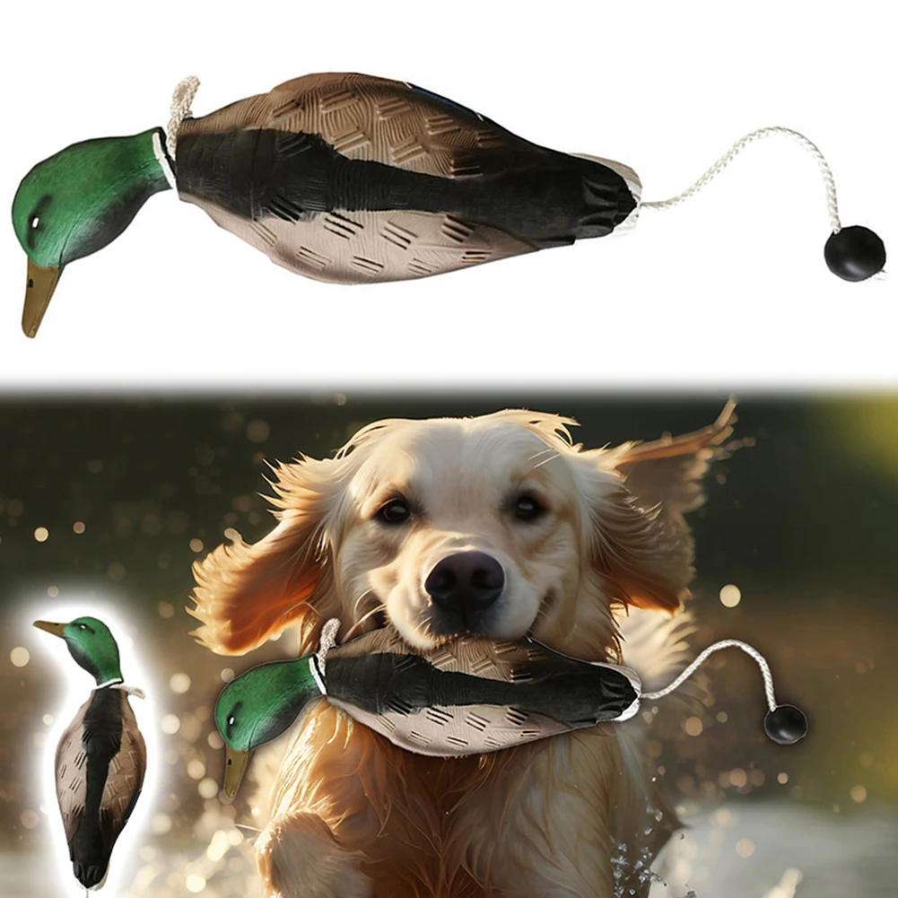 Leurre canard mort flottant avec bumper - Pour chasse au gibier d'eau et dressage chien retriever