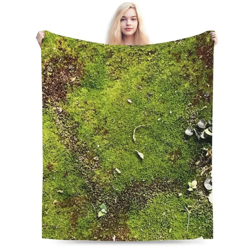 �̳��� ���� ���, �ε巴�� ������ �ö��� ������ ��� ħ�뺸, ħ�� �Ž� ��ũ�� ���� Ȩ ����