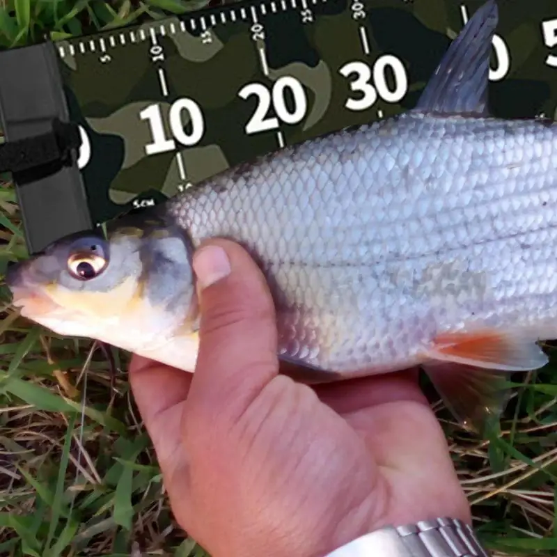 Measuring Board For Fishing Precise Multifunctional Fish Measuring Mat Wear-Resistant Fish Ruler Portable Fillet Mat For