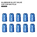 Blue 10pcs