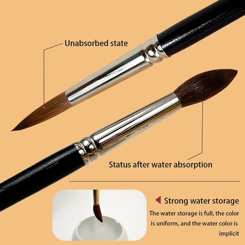 Raphael 8404 Kolinsky Round No. 1 Black - :: The best Amazon Price Raphael 8404 Kolinsky Round No. 1 Black - :: The best Amazon Price