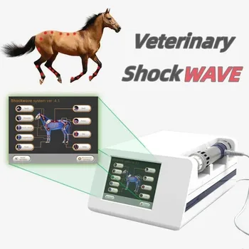 Veterinary Shockwave Therapy Machine for Horses 1