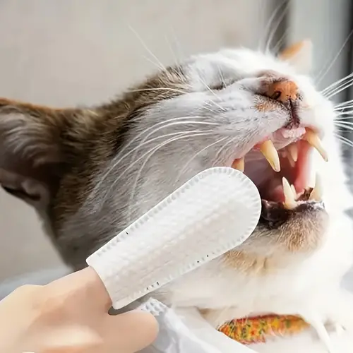 100pcs Pet Cleaning Wet Wipes Finger Cot Ear Teeth One Time Cleaning Finger Cot Pet Cat Dog Odor Removal Cleaning Cloth Pet Tool - Image 3