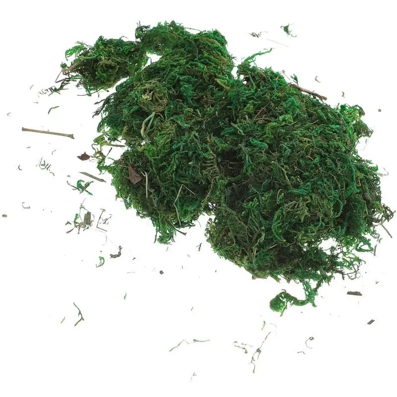 Description Picture 2 of itemArtificial Moss Lichen Simulation Fake Green Plants for Patio Decoration (20g/Small Pack) Grass roll Moos