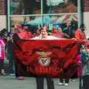 Benfica Drapeau