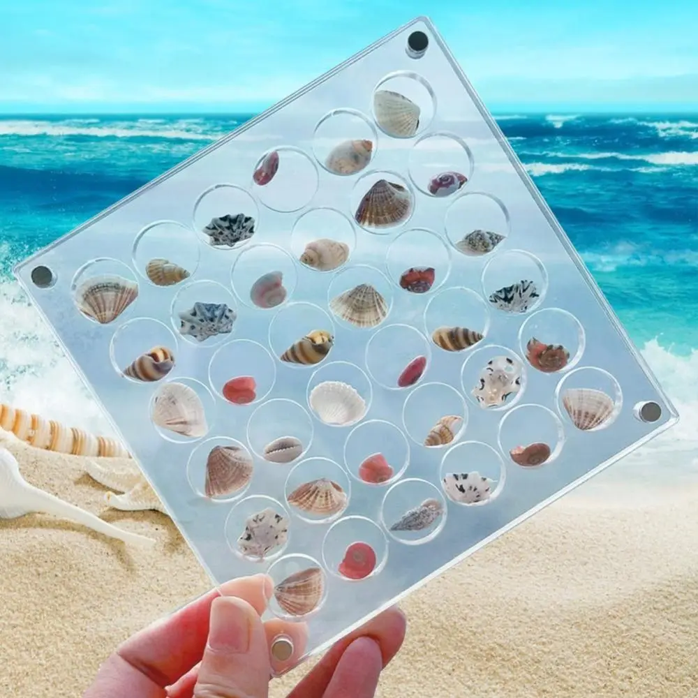 Acrylic Magnetic Seashell Display Box 36/64Grids Circle & Heart Jewelry Display Cases Container With Lid Small 3