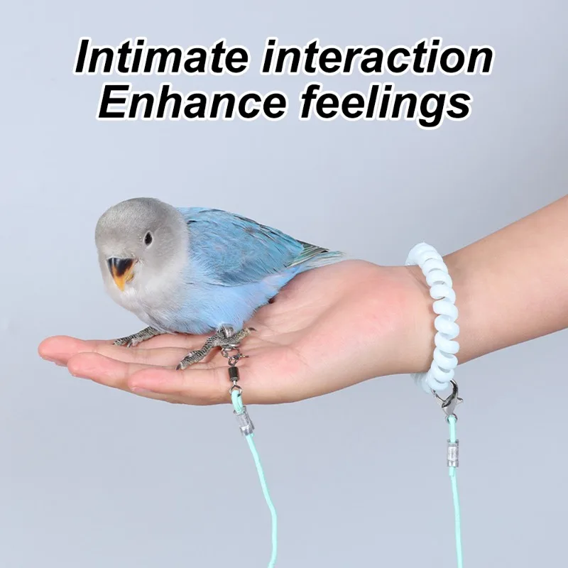 1PC Papagei Release Seil Vogel Leine Ultra Licht Nicht Schädlich Zu Füße Haustier Vogel Papagei Flug Release Seil Vogel strap (Kein Fuß Ring) – Detail 6