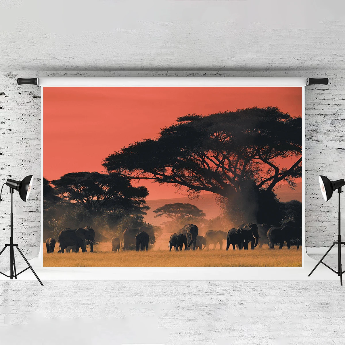 Viaje a la Navidad Africana Bosque de Savana Animal Sala de Estar Elefante  Familia Atardecer Grgeous TV Telón de Fondo Fondo de fotografía  universitaria - AliExpress, image size:1200x1200