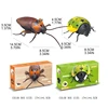 Fine Battery Powered Cockroach Trick Supplies Kids Favorite Party Favor 6