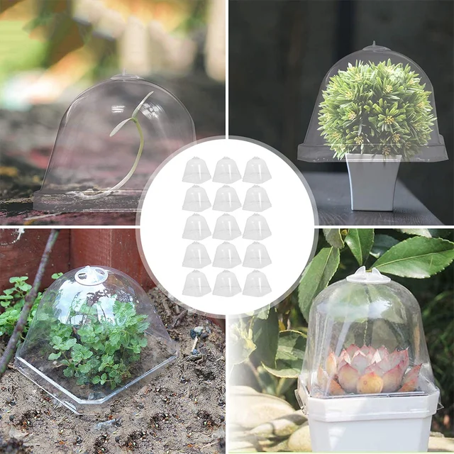15 Dcs Bell Protector Sucmulans Kerti Cloche Tiszta Konténer Virág Edény Burkolat Fagyasztó Borító Páratartalom Borítás - Image 2