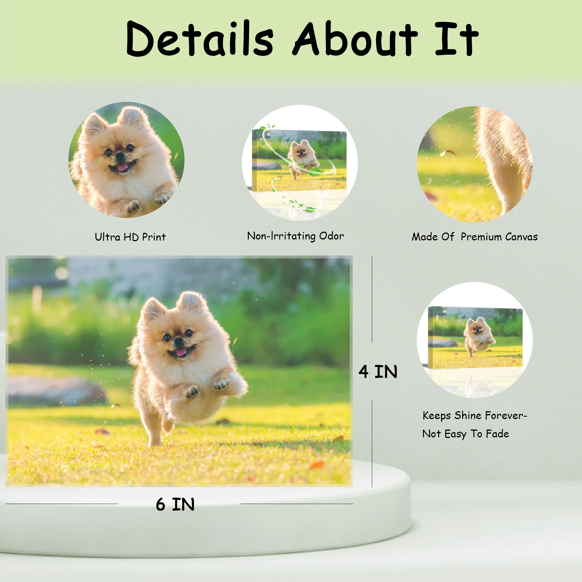 Dog Cat Paintings Prints Personalized Canvas Prints with Your Pet Dog Cat for Home Decoration