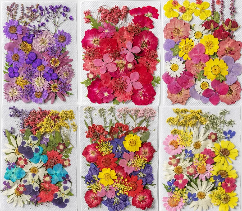 

1Set 35pcs Assorted Pressed Dried Flower Leaf Herbarium For Epoxy Resin Jewelry Making Bookmark Face Makeup Nail Art Craft