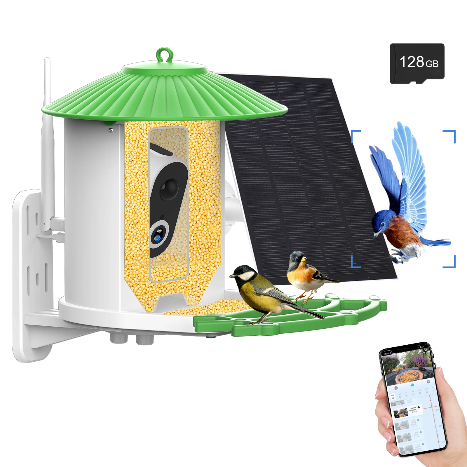 IsYoung Caméra Intelligente Pour Mangeoire à Oiseaux  Style Baignoire Amelioree Fonctionne A Lenergie Solaire Identifie Plus De 16 000 Oiseaux Avec Ia Capture Et Notification Automatiques