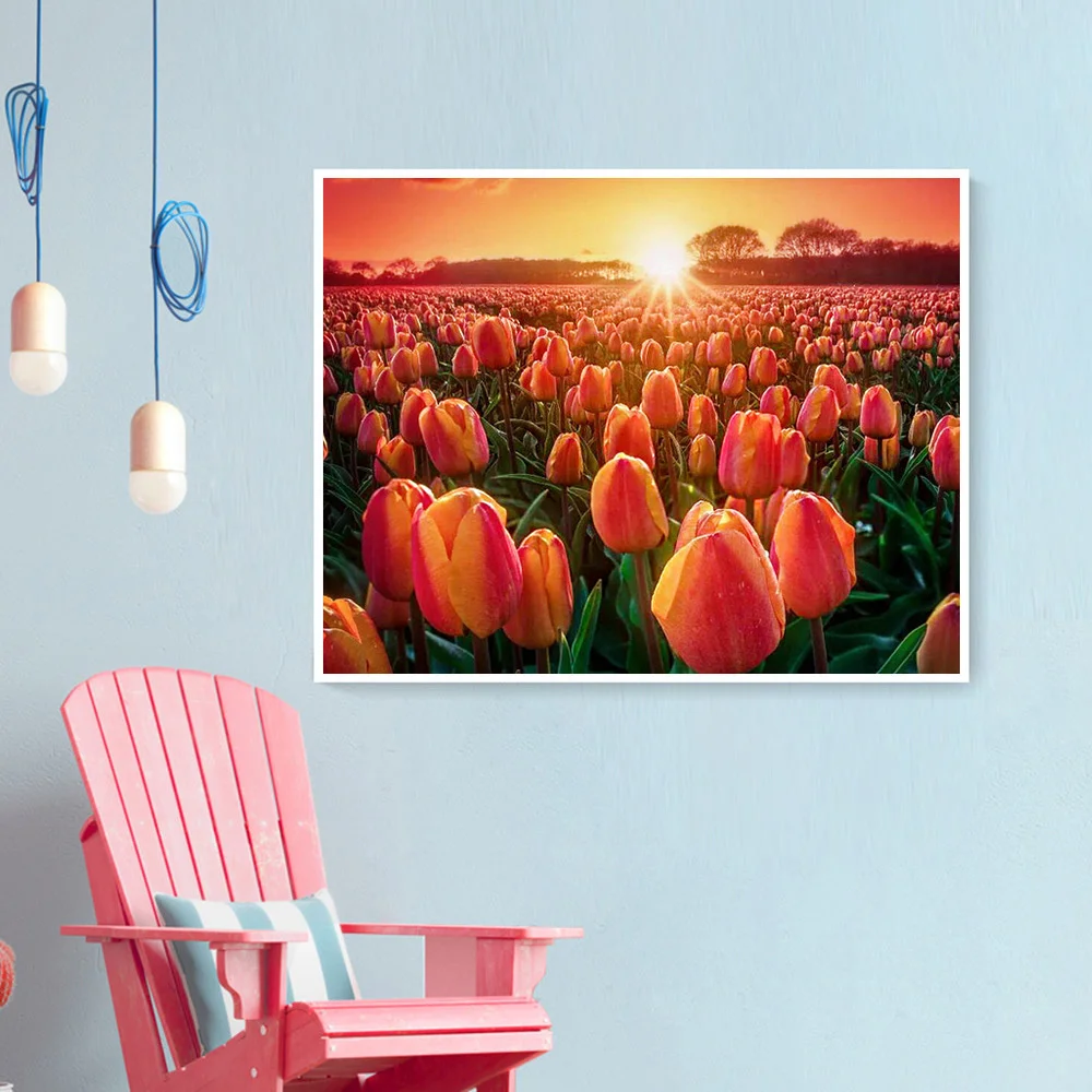 13 (5).jpg_.webp 13 (5).jpg_.webp