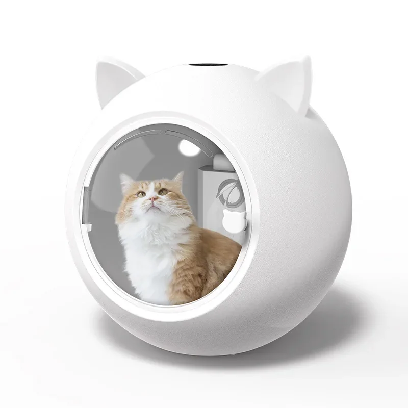 Multi-function Pet Hair Dryer For Cat Dog